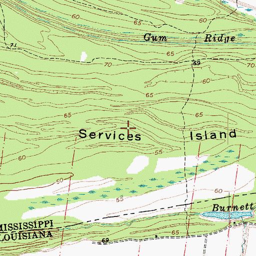 Topographic Map of Services Island, MS