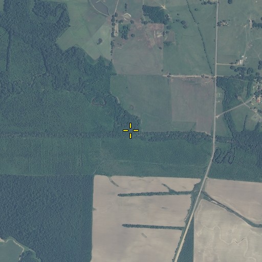 Aerial/Satellite Image of Sewayiah Creek, MS