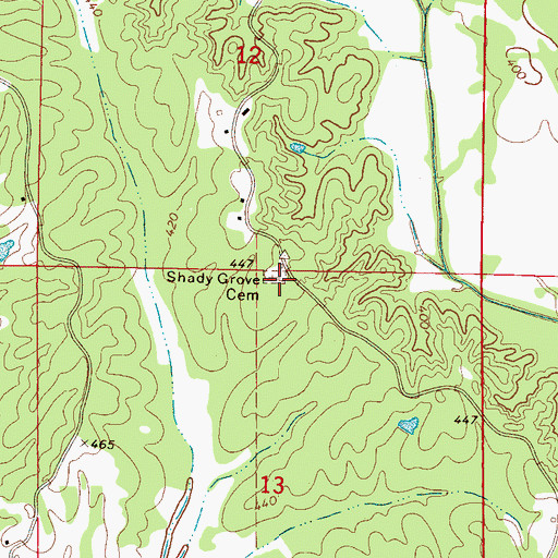 Topographic Map of Shady Grove Cemetery, MS