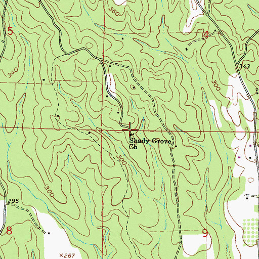 Topographic Map of Shady Grove Church, MS