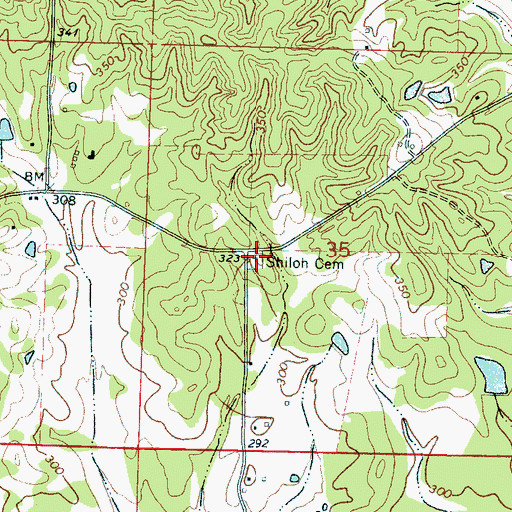 Topographic Map of Shiloh Cemetery, MS