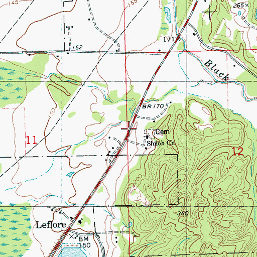 Topographic Map of Shiloh Cemetery, MS