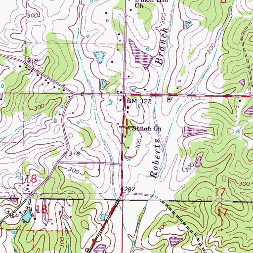 Topographic Map of Shiloh Church, MS