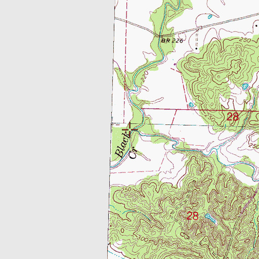 Topographic Map of Shipp Creek, MS