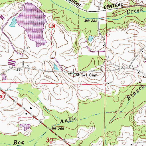 Topographic Map of Shows Cemetery, MS
