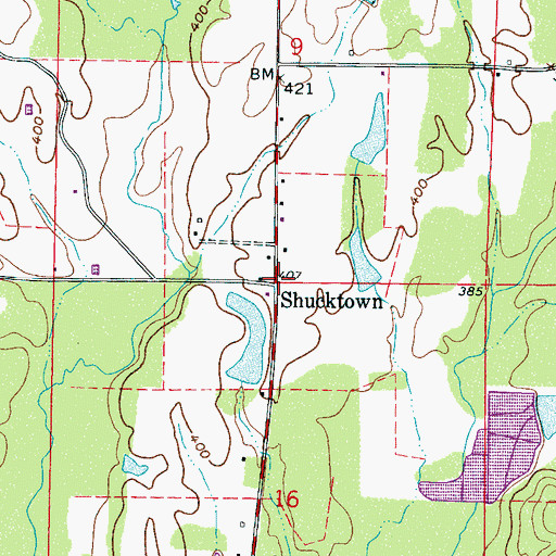Topographic Map of Shucktown, MS