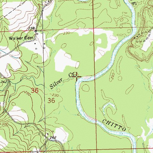 Topographic Map of Silver Creek, MS