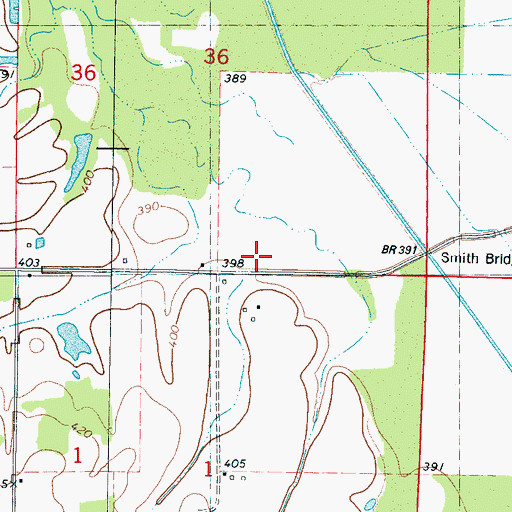 Topographic Map of Smith Bridge, MS