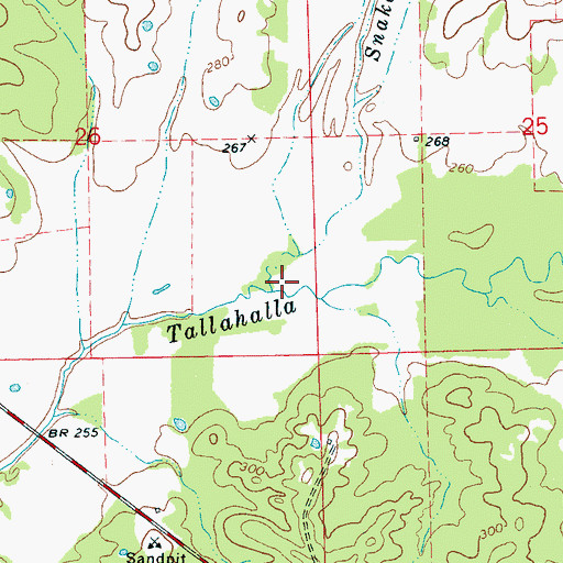 Topographic Map of Snake Creek, MS