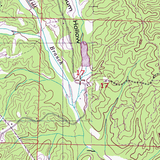 Topographic Map of Sorghum Hollow, MS