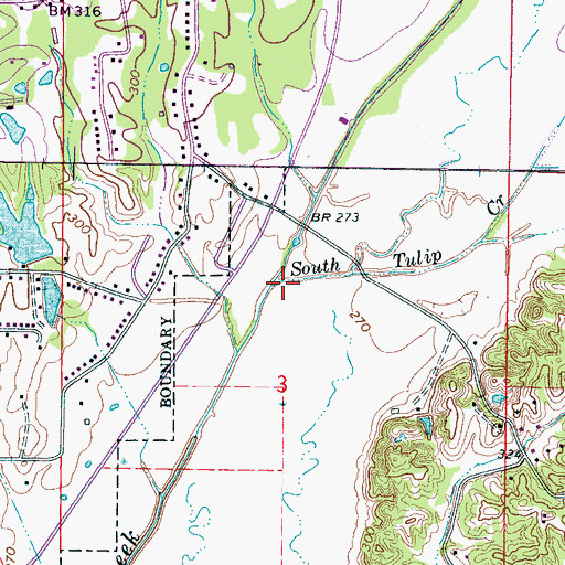 Topographic Map of South Tulip Creek, MS