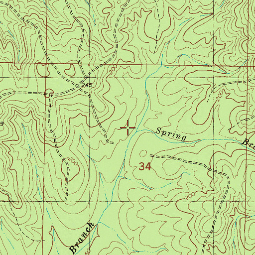 Topographic Map of Spring Branch, MS