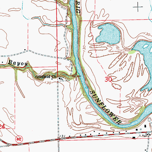 Topographic Map of Standing Stump Bayou, MS