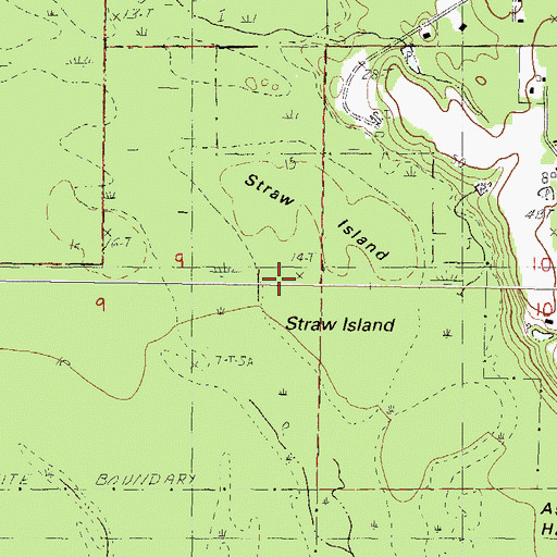 Topographic Map of Straw Island, MS