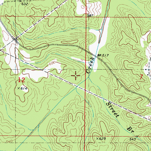 Topographic Map of Street Branch, MS