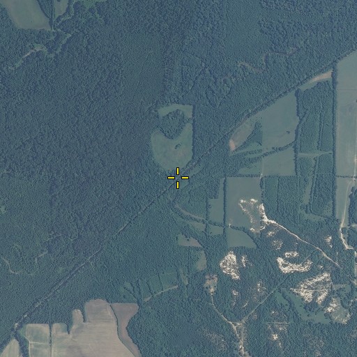 Aerial/Satellite Image of Sun Creek, MS