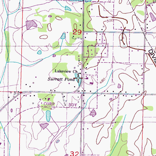 Topographic Map of Surratt Pond, MS