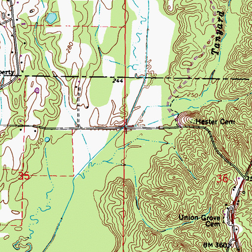 Topographic Map of Tanyard Branch, MS
