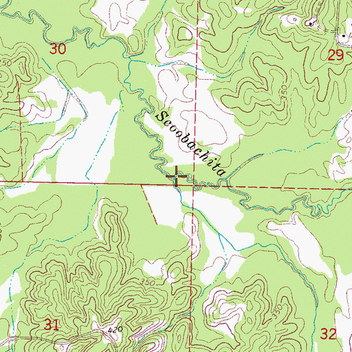 Topographic Map of Taylor Creek, MS