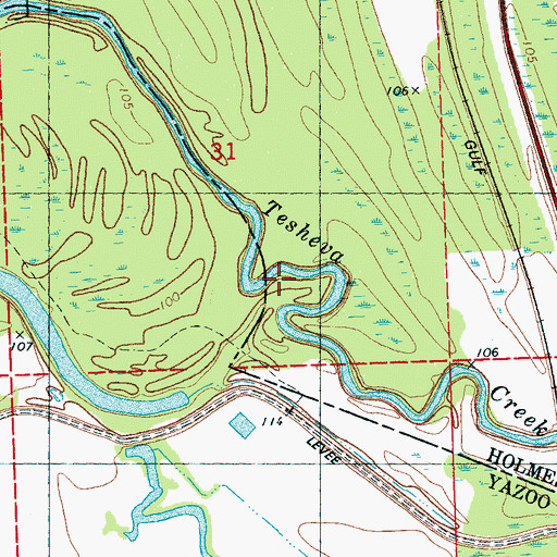 Topographic Map of Tesheva Creek, MS