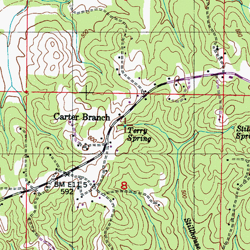 Topographic Map of Terry Spring, MS