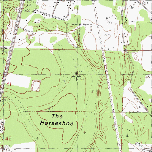Topographic Map of The Horseshoe, MS