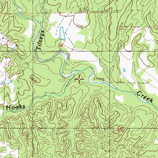 Topographic Map of Tilseys Creek, MS