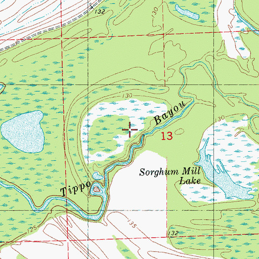 Topographic Map of Tippo Bayou, MS