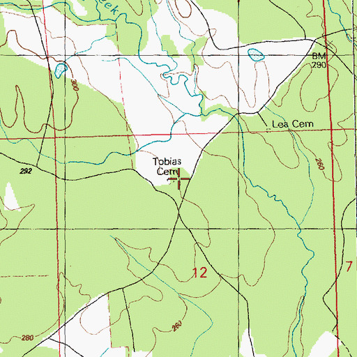 Topographic Map of Tobias Cemetery, MS