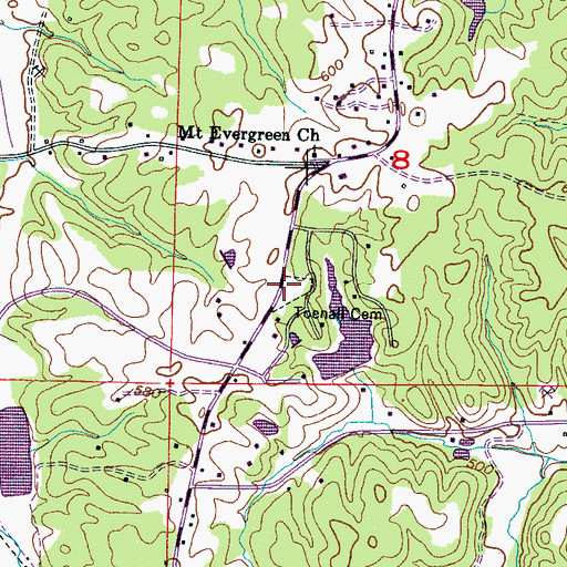 Topographic Map of Toenail Cemetery, MS
