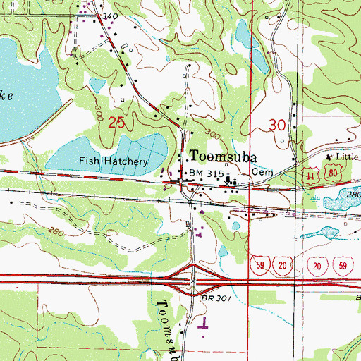Topographic Map of Toomsuba, MS