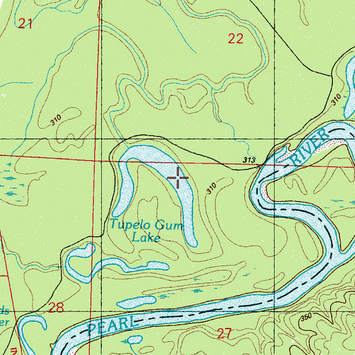 Topographic Map of Tupelo Gum Lake, MS