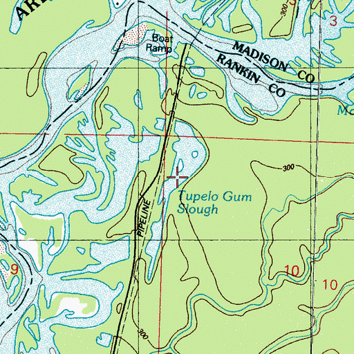Topographic Map of Tupelo Gum Slough, MS