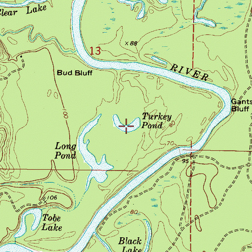 Topographic Map of Turkey Pond, MS