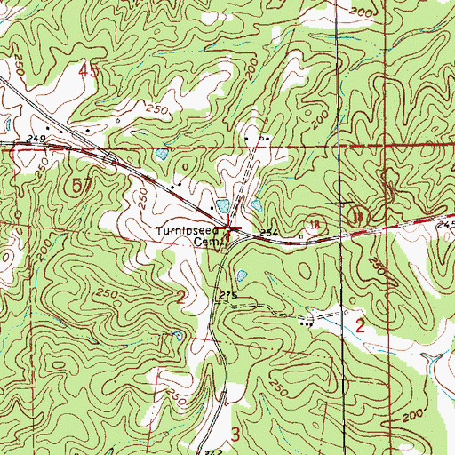 Topographic Map of Turnipseed Cemetery, MS