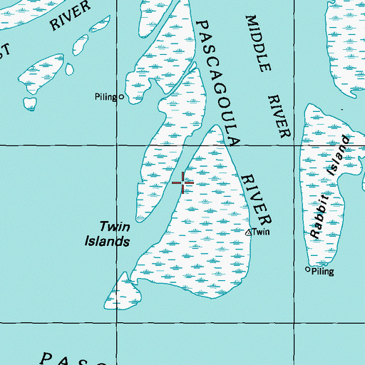 Topographic Map of Twin Islands, MS