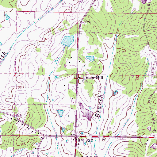 Topographic Map of Union Hill Church, MS