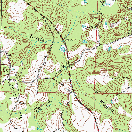 Topographic Map of Wagon Branch, MS