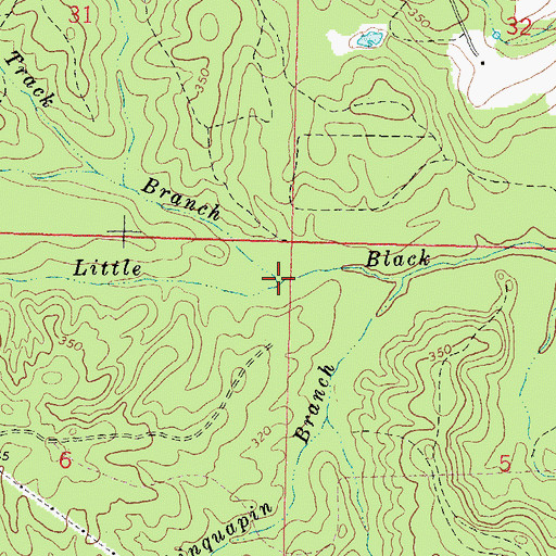 Topographic Map of Wagon Track Branch, MS