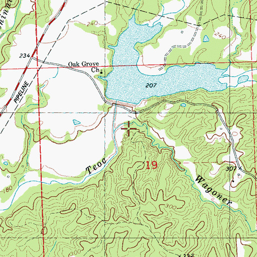 Topographic Map of Wagoner Branch, MS