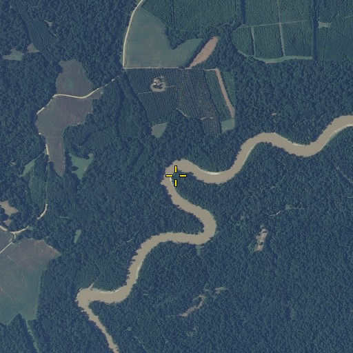 Aerial/Satellite Image of Walker Branch, MS