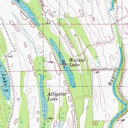 Topographic Map of Walnut Lake, MS
