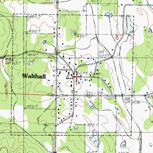 Topographic Map of Walthall, MS