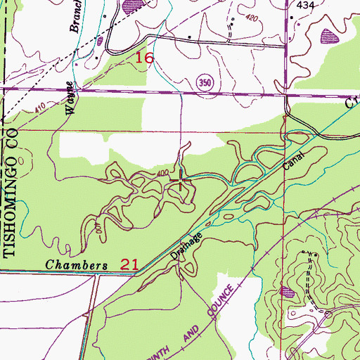 Topographic Map of Wayne Branch, MS