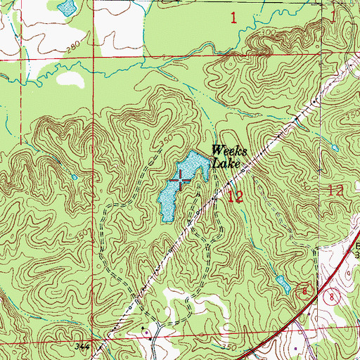 Topographic Map of Weeks Lake, MS