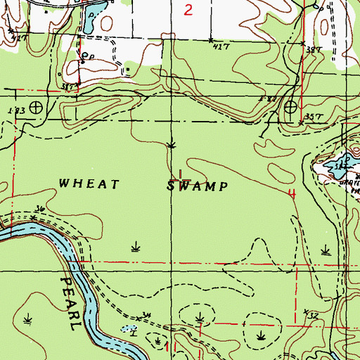 Topographic Map of Wheat Swamp, MS