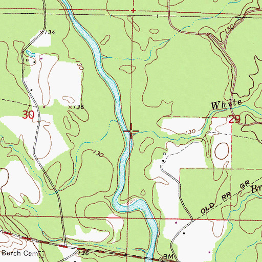 Topographic Map of White Branch, MS
