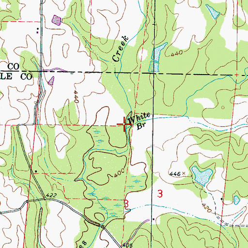Topographic Map of White Branch, MS