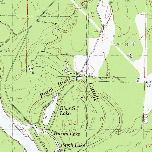 Topographic Map of White Creek, MS