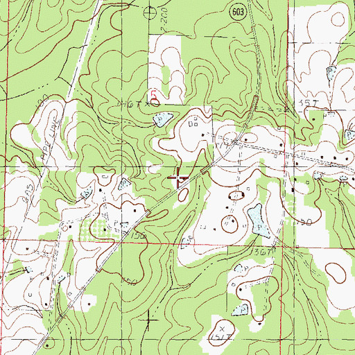 Topographic Map of White Cypress Church, MS